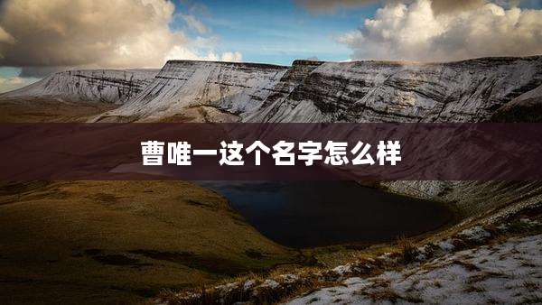 曹唯一这个名字怎么样