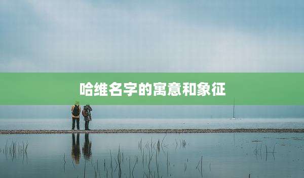 哈维名字的寓意和象征