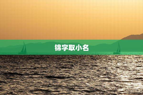 锦字取小名
