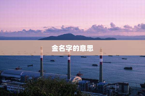 金名字的意思