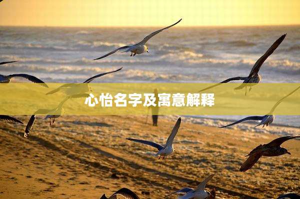 心怡名字及寓意解释