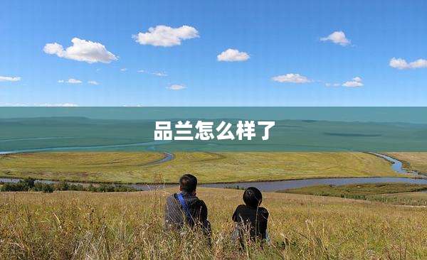 品兰怎么样了