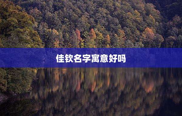 佳钦名字寓意好吗