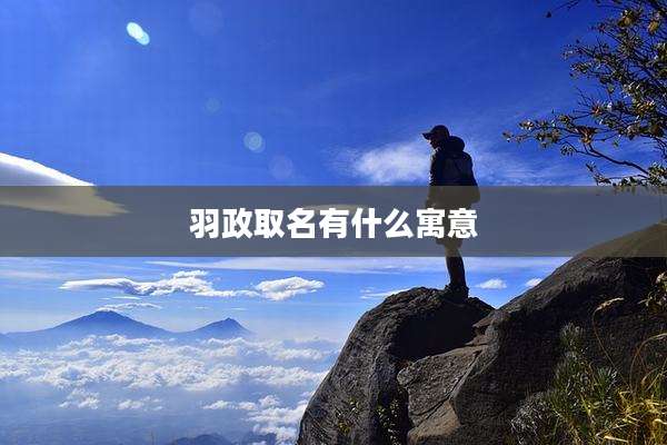 羽政取名有什么寓意