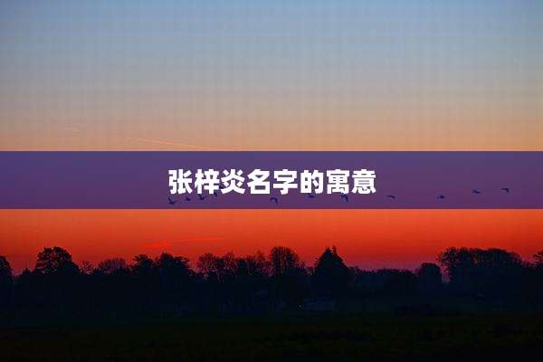 张梓炎名字的寓意