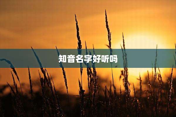知音名字好听吗