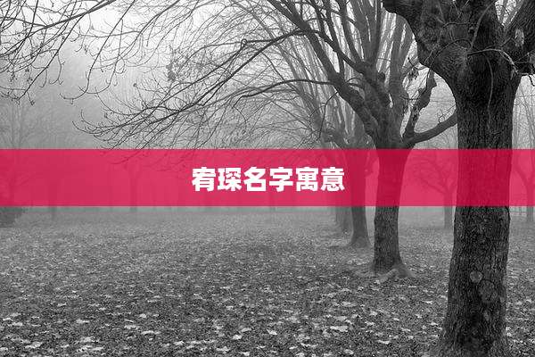 宥琛名字寓意