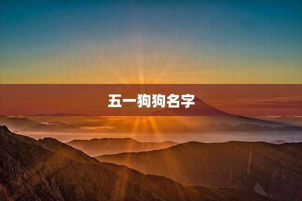 五一狗狗名字