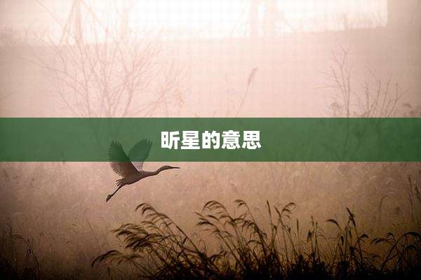 昕星的意思