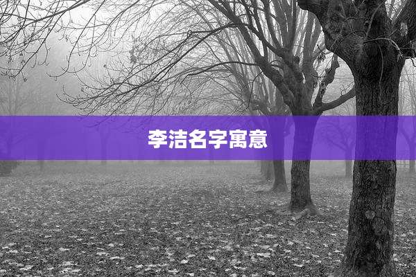 李洁名字寓意