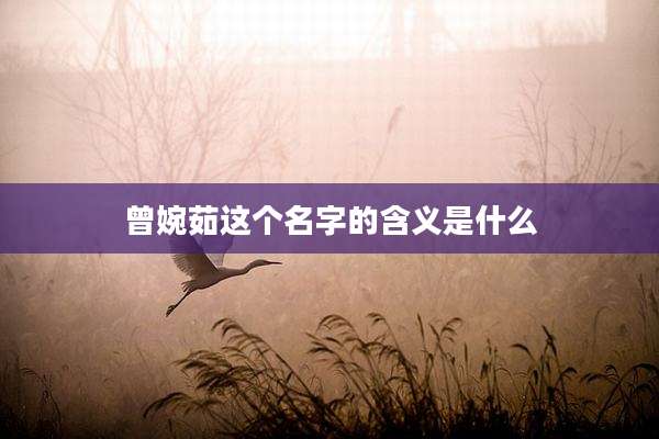 曾婉茹这个名字的含义是什么