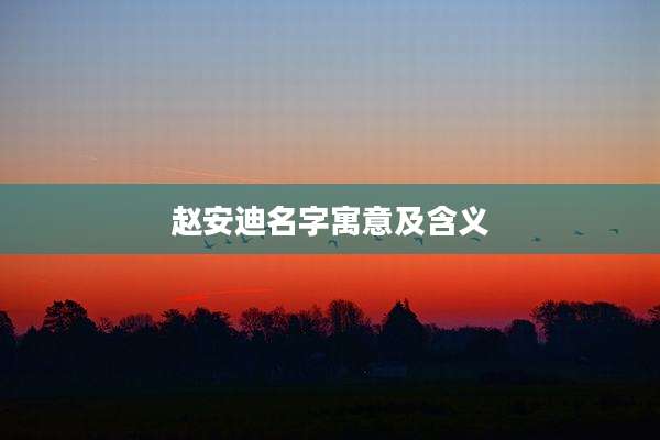 赵安迪名字寓意及含义