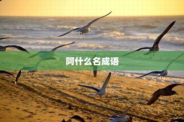 阿什么名成语