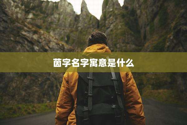 茵字名字寓意是什么