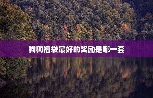 狗狗福袋最好的奖励是哪一套