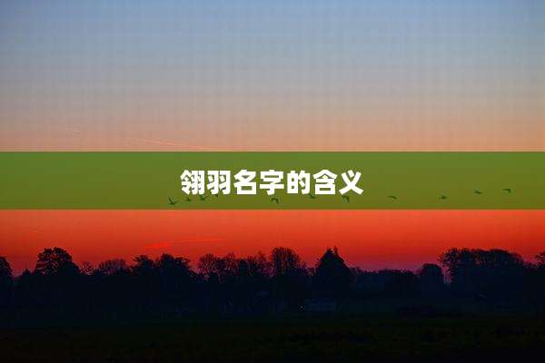 翎羽名字的含义
