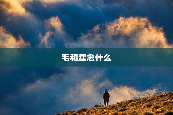 毛和建念什么