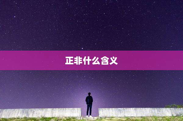 正非什么含义