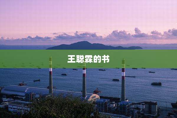 王聪霖的书