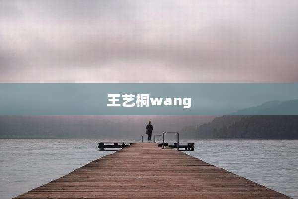 王艺桐wang