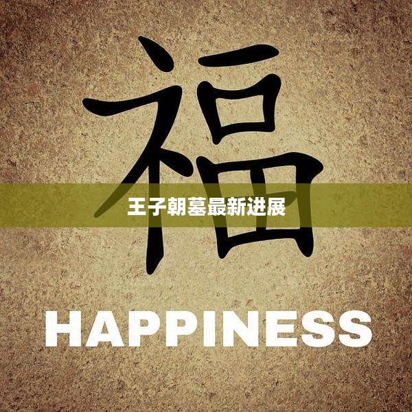 王子朝墓最新进展
