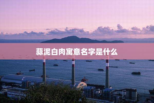 蒜泥白肉寓意名字是什么