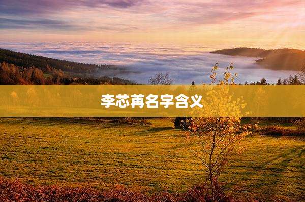 李芯苒名字含义