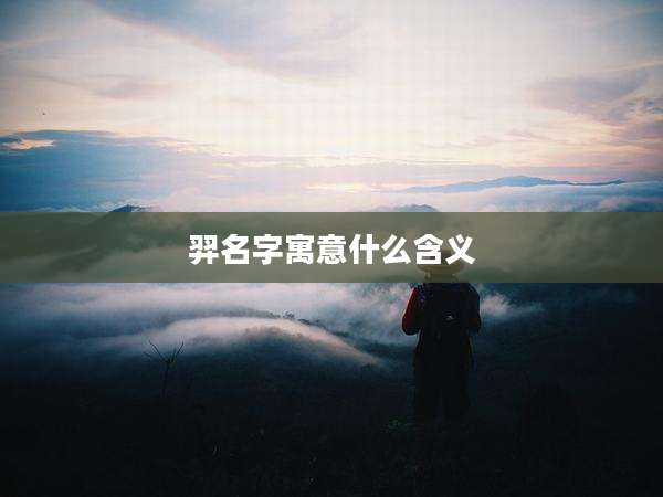 羿名字寓意什么含义