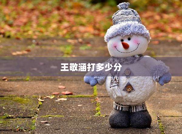 王敬涵打多少分