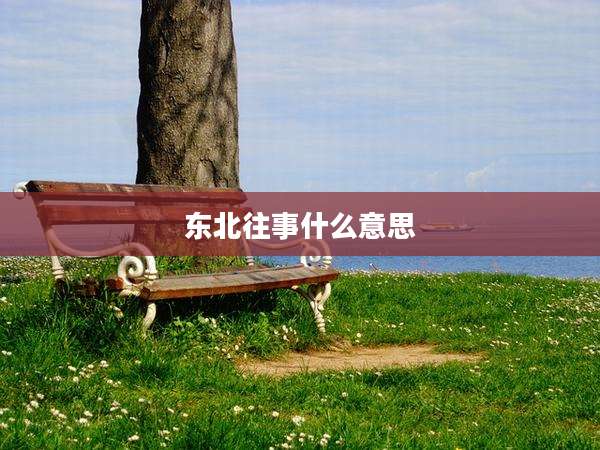 东北往事什么意思