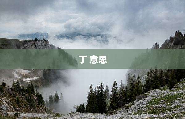 丁 意思