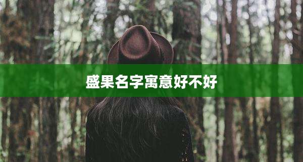 盛果名字寓意好不好