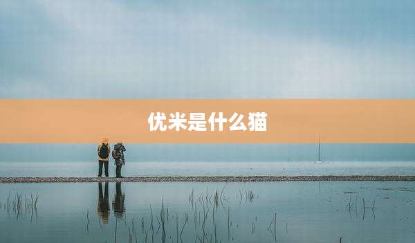 优米是什么猫