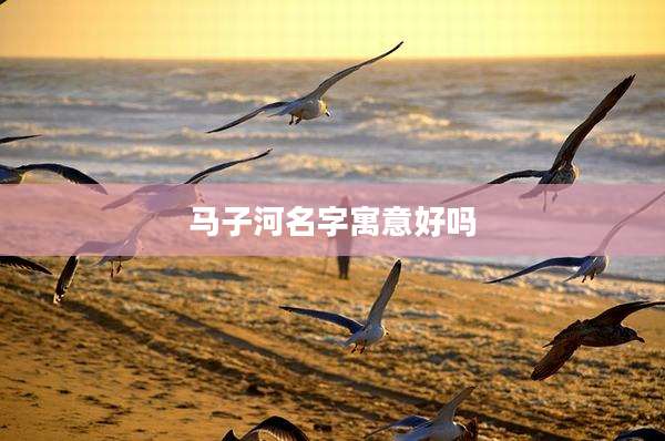 马子河名字寓意好吗