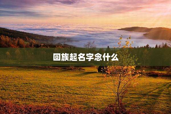 回族起名字念什么