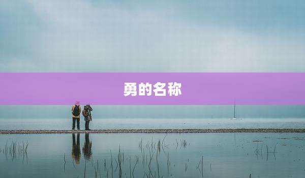 勇的名称