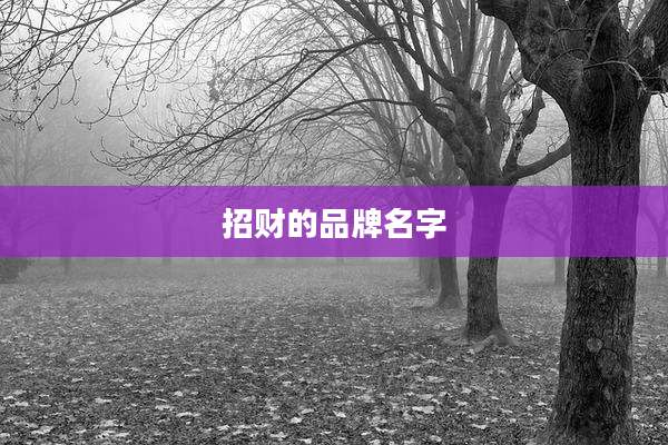 招财的品牌名字