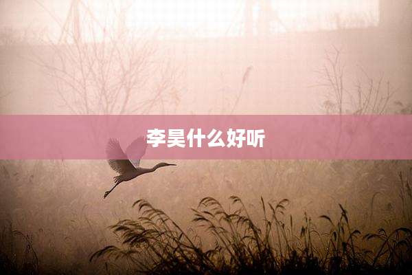 李昊什么好听