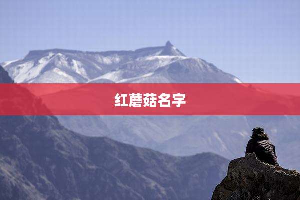红蘑菇名字