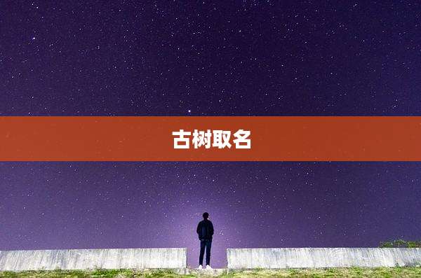 古树取名