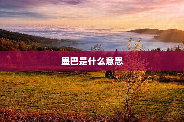 墨巴是什么意思