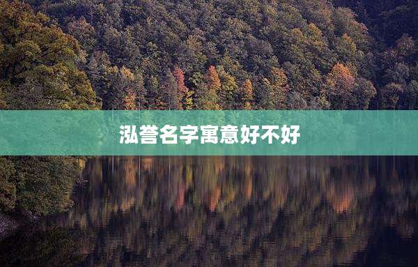 泓誉名字寓意好不好