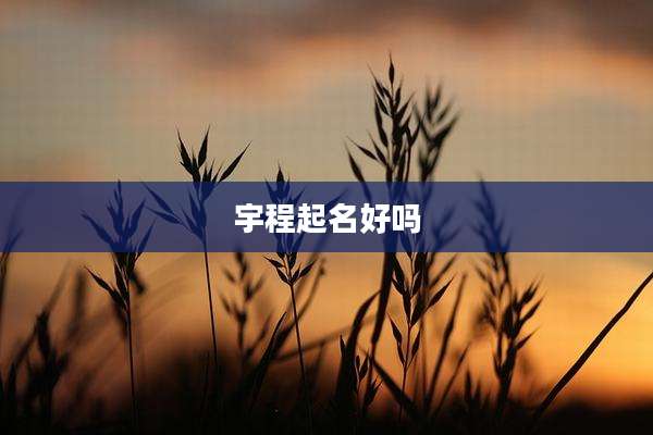 宇程起名好吗