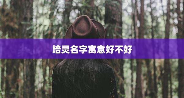 培灵名字寓意好不好
