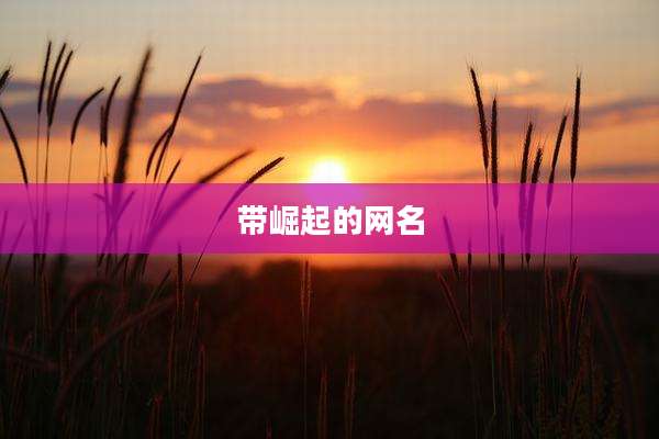 带崛起的网名