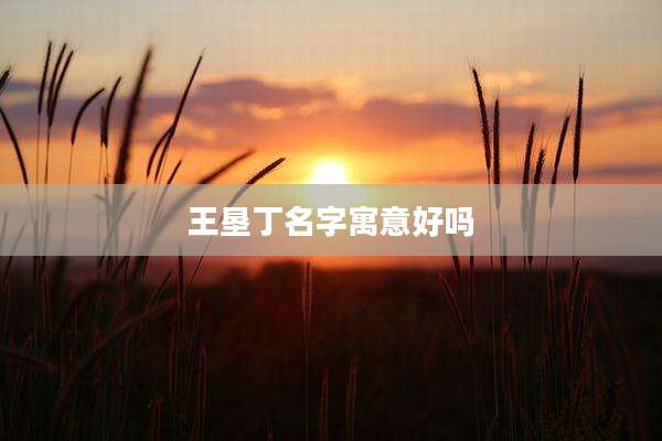 王垦丁名字寓意好吗