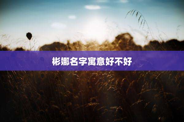 彬娜名字寓意好不好