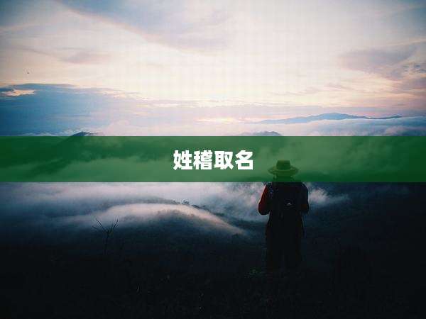 姓稽取名