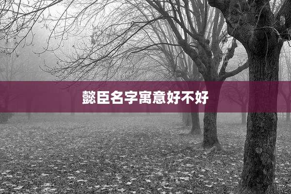 懿臣名字寓意好不好