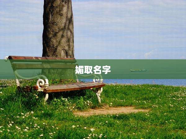 媚取名字